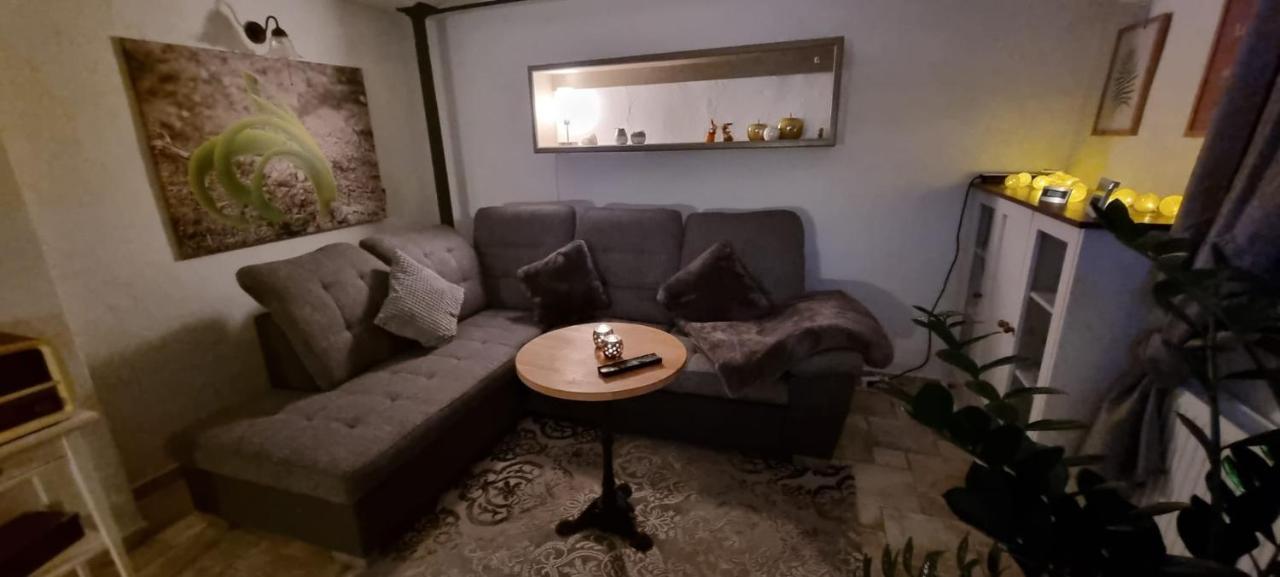 Monteur-Ferienwohnung Ot Naundorf Naundorf  Exteriör bild