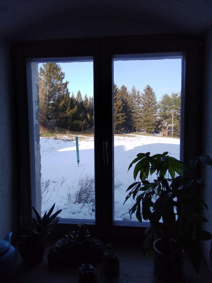 Monteur-Ferienwohnung Ot Naundorf Naundorf  Exteriör bild